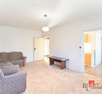 Living room in a 2-room apartment with a sofa and a wooden decor floor.