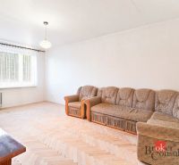Living room in a two-room apartment with a wooden decor floor and a sofa.