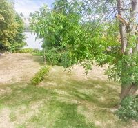 The garden of a family house in Rožňava with a lawn and various trees.