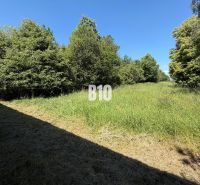 A grassy area near the forest in Dubové with a blue sky and trees in the background.