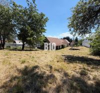 A cottage in Dubové surrounded by a large lawn and trees, ideal for relaxation.