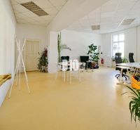 Spacious offices with plants, white desks, and comfortable chairs.