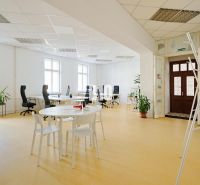 Spacious offices with white desks, chairs, and plants, floor with wooden decor.