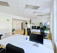 Spacious offices with white desks and plants, large windows letting in daylight.