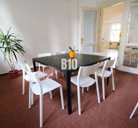 An office with a black desk, white chairs, and a plant on the carpet.
