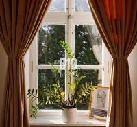 A windowsill with a potted plant, surrounded by curtains and a radiator.