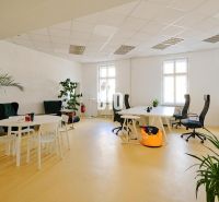 Offices with white desks, ergonomic chairs, and plants, floor with wooden decor.