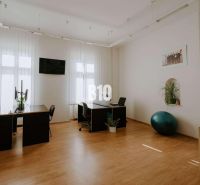 Spacious offices with wood-decor flooring, work desks, and a fitness ball.