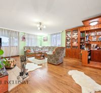 Living room of a family house with a fireplace, sofa, and wooden decor flooring.