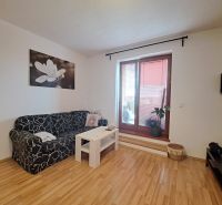 Living room in a two-room apartment with a sofa, a painting, and a wooden decor floor.