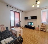 Living room with wood-patterned flooring, a sofa, and a television in a two-room apartment.