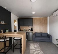 Recreational apartment with wood-decor flooring, kitchenette, and sofa.