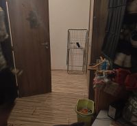 Hallway in a 3-room apartment with a wooden decor floor, storage space, and a vacuum cleaner.