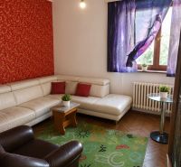 Living room with a sofa, colorful rug, and wood-patterned flooring in a three-room apartment.