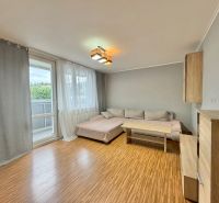 Living room in a three-room apartment with a wooden decor floor and a sofa.