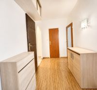 A hallway with a wood-decor floor and furniture in a 3-room apartment.