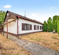 A family house in Lipové with a large garden and green thuja trees on the property.