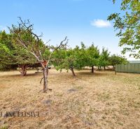 A garden at a family house in Lipové with fruit trees and a lawn.