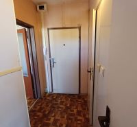 Entrance hallway with wood-patterned flooring in a studio apartment, walls with patterned wallpaper.