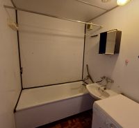 Bathroom with a bathtub and a washing machine in a studio apartment, floor with wood decor.