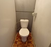 A bathroom in a one-room apartment with a wooden decor floor.