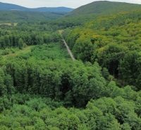 A wooded region in the Šugovská Valley near Medzev, with a road leading through a dense forest.