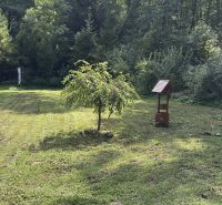 The yard of the cottage in Šugovská Valley, Medzev with a young tree and a wooden well.