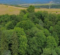 Wooded hills in the Šugov Valley near Medzev, an ideal spot for cottages.