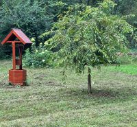 A well and a tree in the garden near the cottage in Šugovská Valley, Medzev, surrounded by forest.