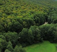 A forest landscape in the Šugov Valley in Medzev with dense trees and a road leading to a cottage.