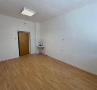 Offices with wood-patterned flooring, a sink, and white walls.