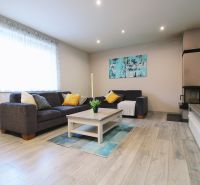 Living room in a family house with a sofa, fireplace, and wooden decor flooring.
