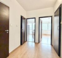 A hallway in a 2-room apartment with a wooden decor floor and white walls.