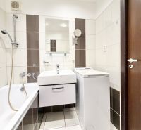 Bathroom with a shower, sink, and washing machine in a 2-room apartment.