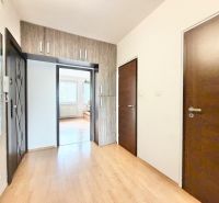 Interior of a 2-room apartment with a wooden decor floor and dark doors.