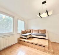 Living room in a two-room apartment with a sofa and wooden decor flooring.
