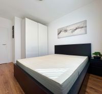 Bedroom in a 2-room apartment with a bed, wardrobe, and wooden decor flooring.