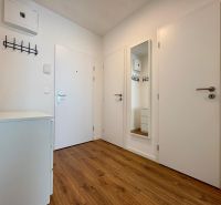 An entrance hall with a wooden decor floor and a mirror in a 2-room apartment.