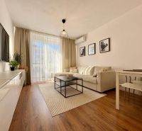 Living room with a sofa and TV, floor with wood decor in a 2-room apartment.