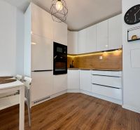 A kitchen in a 2-room apartment with white cabinets and a wood-patterned floor.