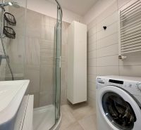 A bathroom in a 2-room apartment with a sink, shower, and washing machine.