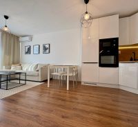 A bright living space in a 2-room apartment with a kitchenette and a wooden decor floor.