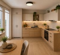 A kitchen in a 2-room apartment with a wooden decor floor and delicate plants.