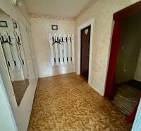 Interior of a 2-room apartment with a wall hanger, mirror, and floor with wooden decor.