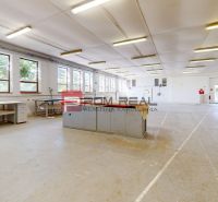 Spacious production spaces with large windows and work tables, floor with wooden decor.