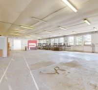 Spacious production facilities with lighting and large windows, suitable for various purposes.
