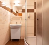 Bathroom in a 2-room apartment with a sink and a shower with brown tiles.