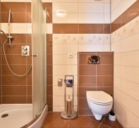 Bathroom with ceramic tiles, shower, and wall-hung toilet in a 2-room apartment.