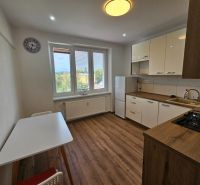 A kitchen in a 2-room apartment with white cabinets and a wood-patterned floor.