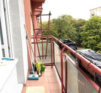 A balcony of a 3-room apartment with flower pots, cleaning supplies, and a view of greenery.